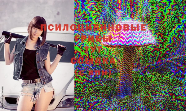 ГАЛЛЮЦИНОГЕННЫЕ ГРИБЫ Михайловск