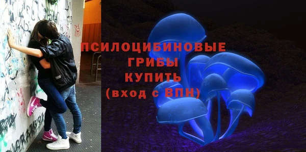 ГАЛЛЮЦИНОГЕННЫЕ ГРИБЫ Михайловск
